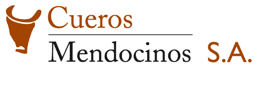 logo Max